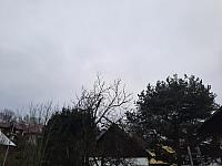 Olešná