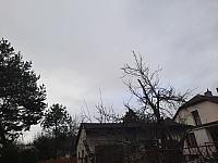 Olešná