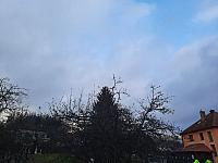 Olešná