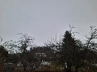 Olešná