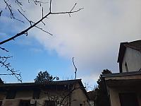 Olešná