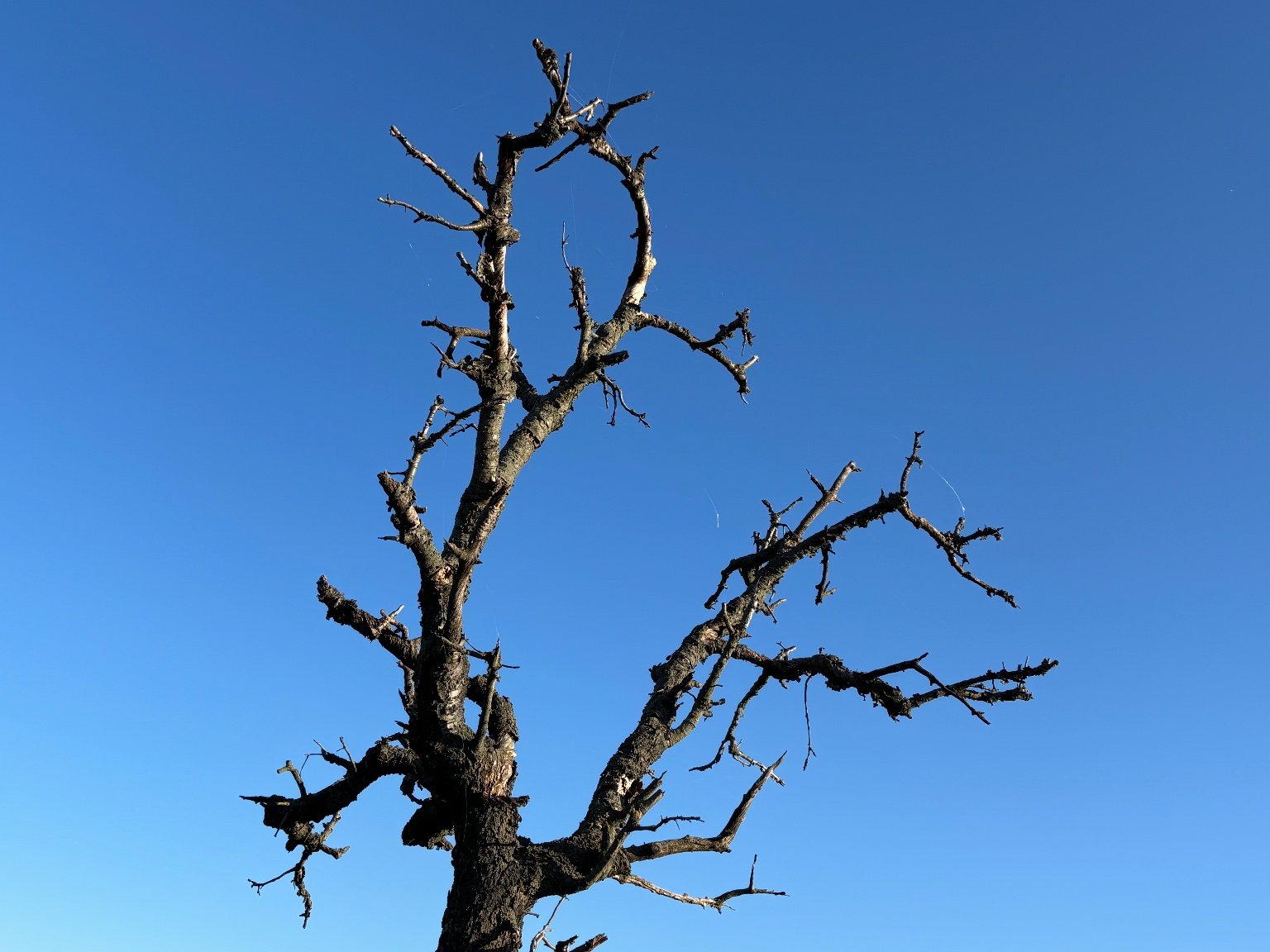 Hrnčiarovce nad Parnou