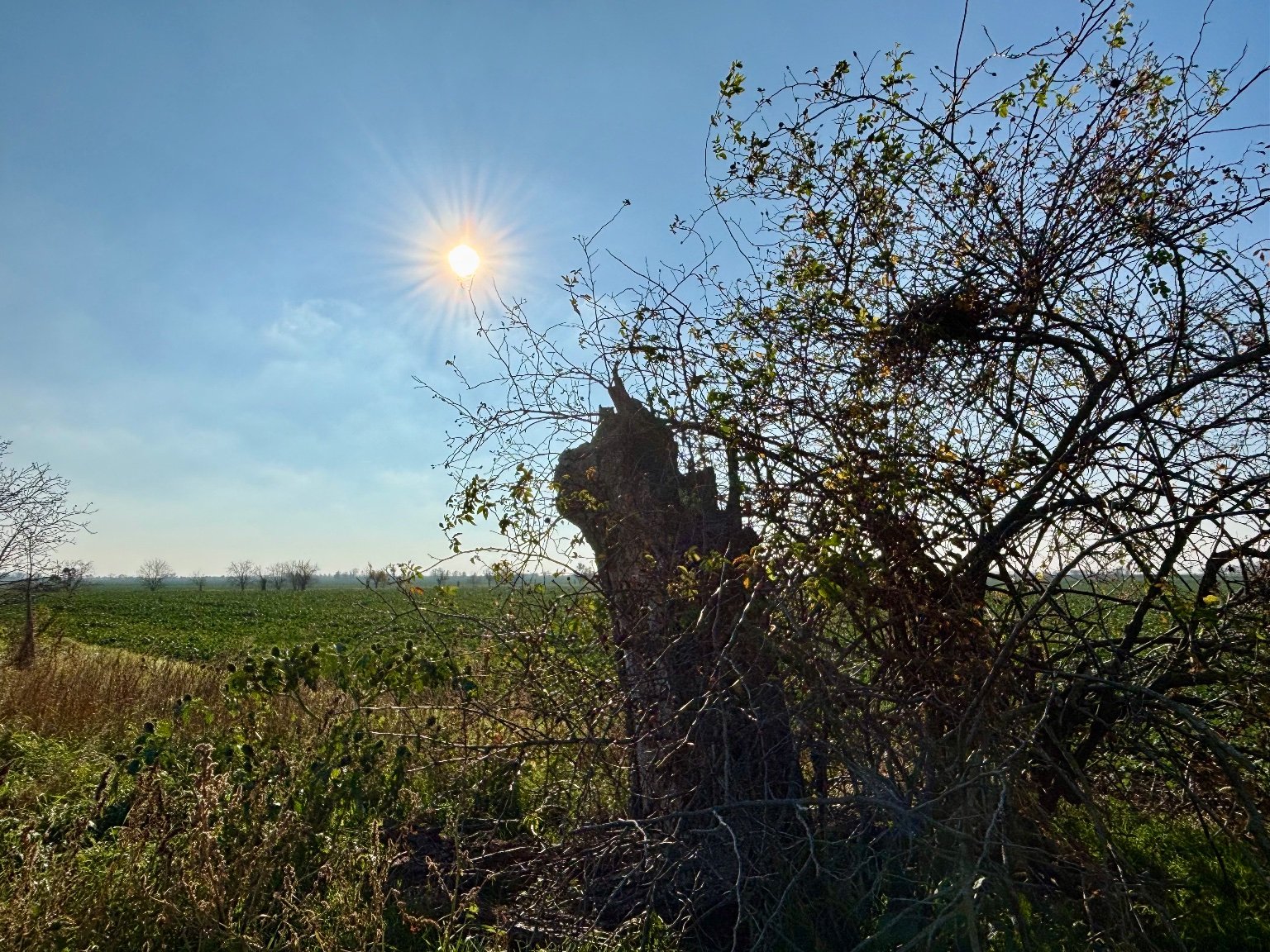 Hrnčiarovce nad Parnou