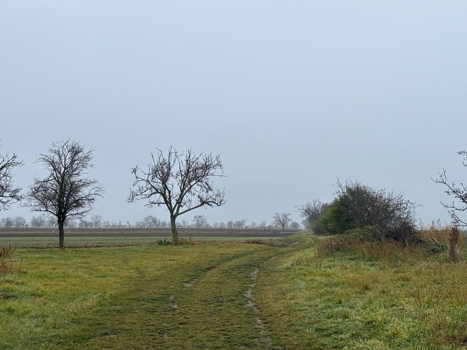 Hrnčiarovce nad Parnou
