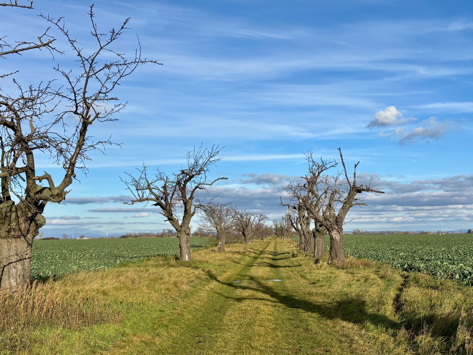 Hrnčiarovce nad Parnou