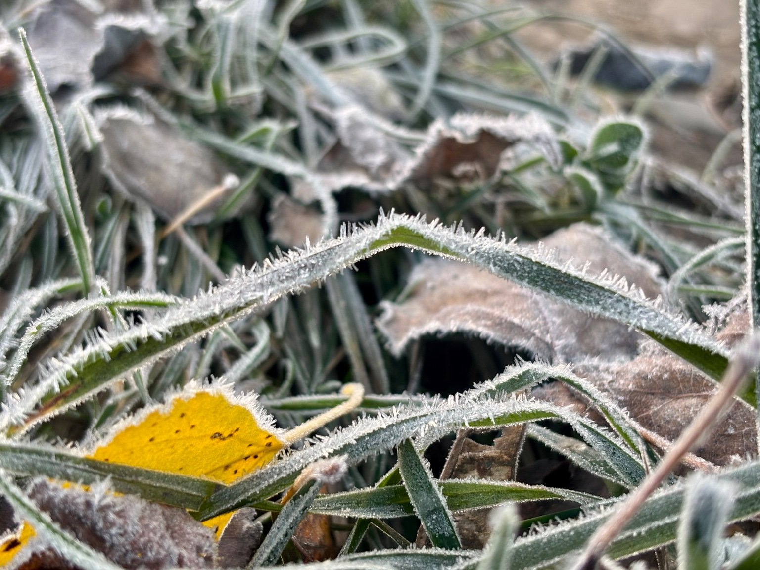 Hrnčiarovce nad Parnou