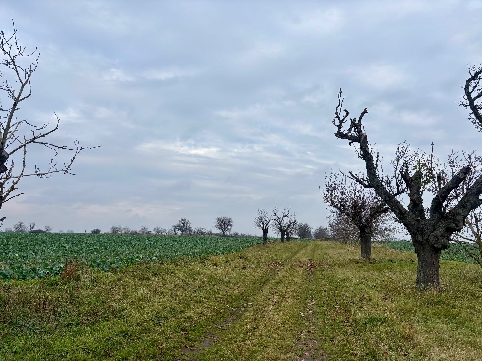 Hrnčiarovce nad Parnou