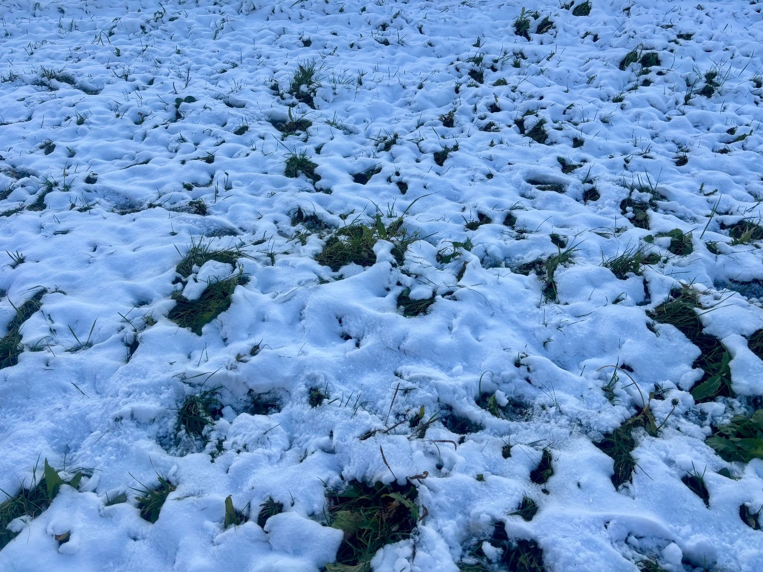 Hrnčiarovce nad Parnou