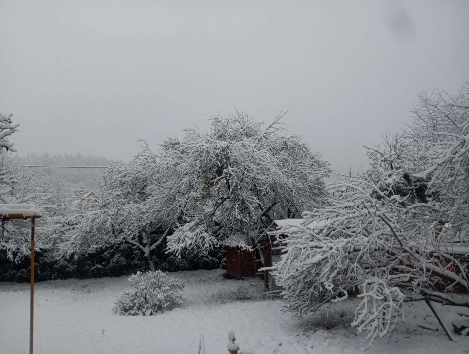 Kopřivnice, Vlčovice