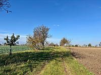 Hrnčiarovce nad Parnou