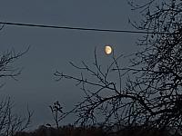 Kopřivnice, Vlčovice