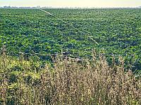 Hrnčiarovce nad Parnou