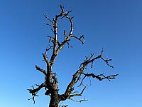 Hrnčiarovce nad Parnou