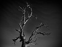 Hrnčiarovce nad Parnou