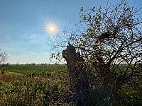 Hrnčiarovce nad Parnou