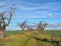 Hrnčiarovce nad Parnou