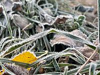 Hrnčiarovce nad Parnou