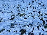 Hrnčiarovce nad Parnou