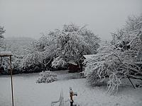 Kopřivnice, Vlčovice