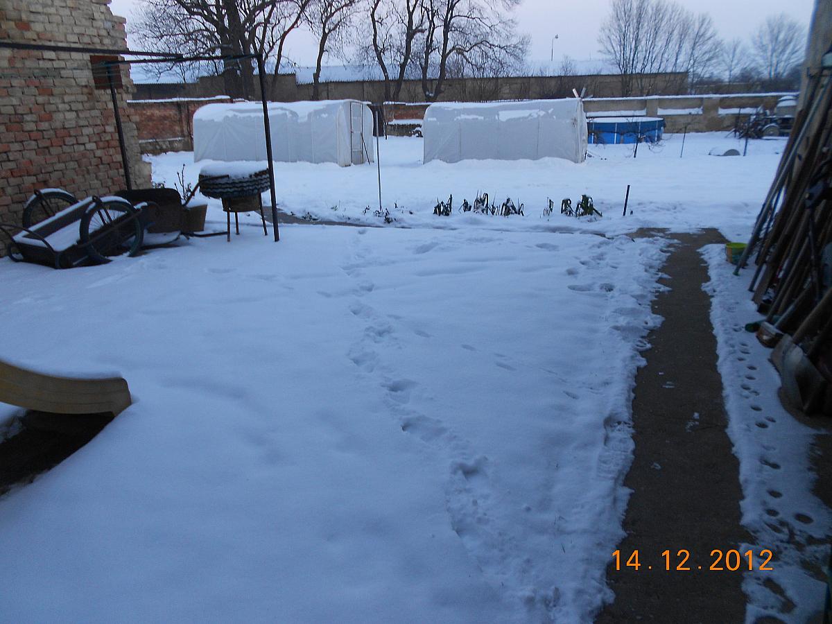 Radešín (Podřipsko)