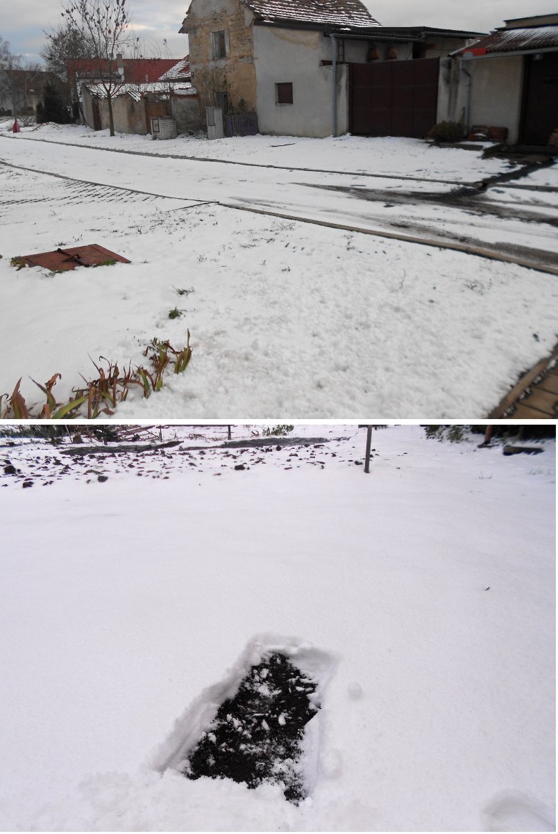 Radešín (Podřipsko)