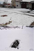 Radešín (Podřipsko)