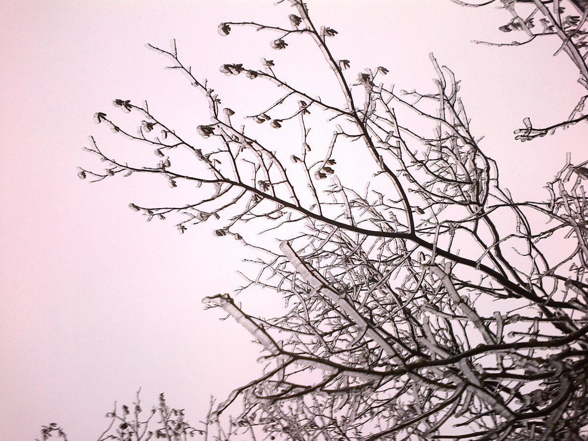 Velká Bíteš, Březka