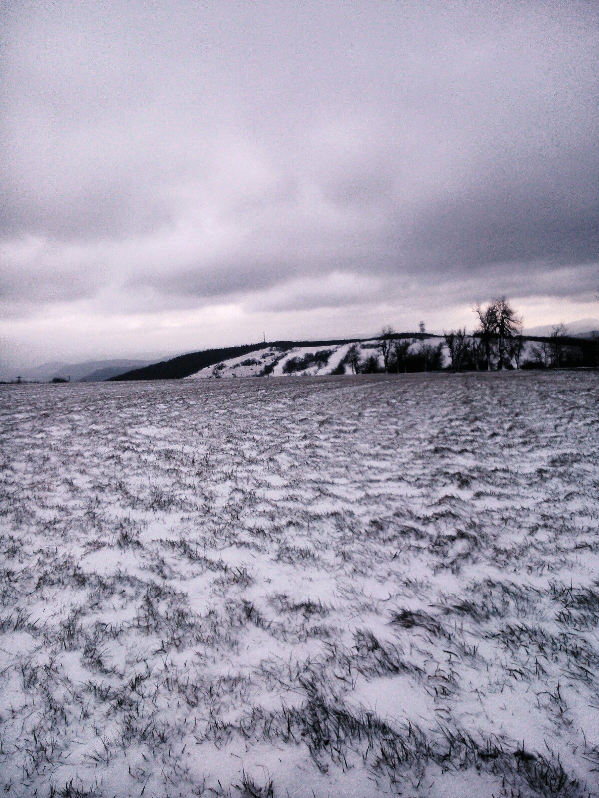 Petrovice - Nakléřov