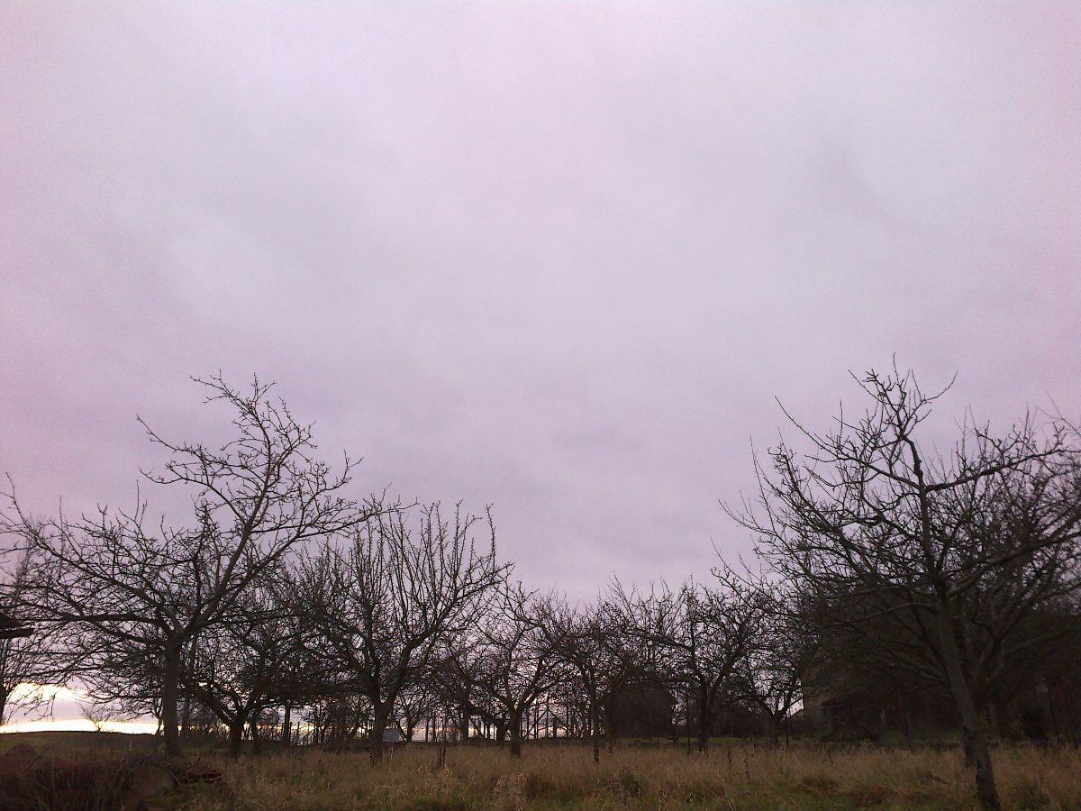 Velká Bíteš, Březka