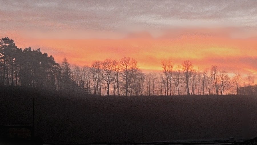 Olešnice na Moravě