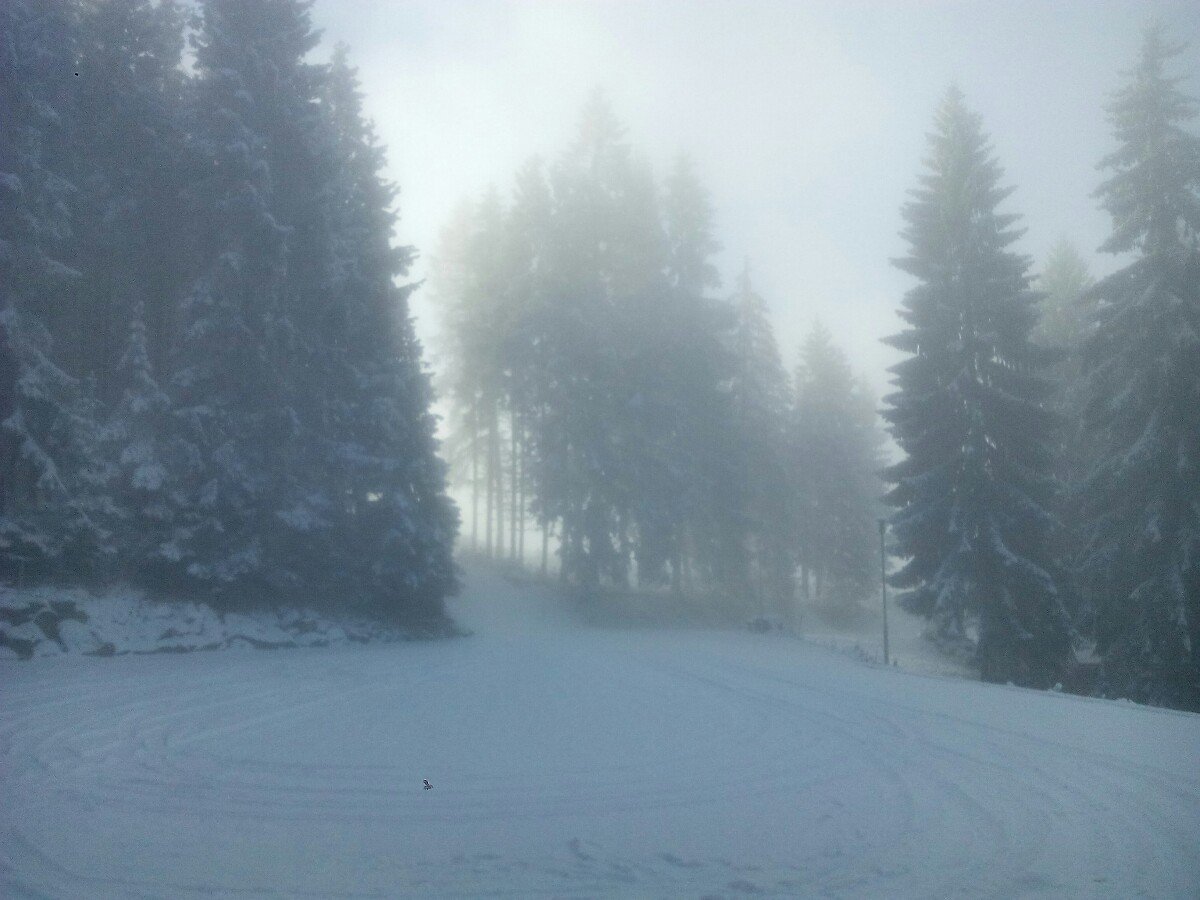 Olešnice v Orlických horách