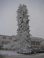 Nové Město na Moravě