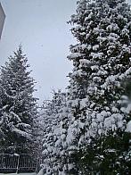 Nové Město na Moravě