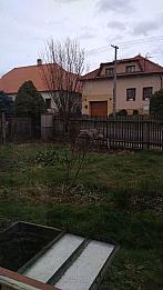 Třibřichy