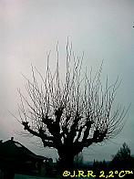 Slavičín,sídliště Vlára