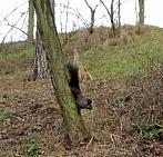 Třebíč-Nové Dvory 