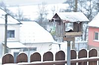 Březová u Uherského Brodu