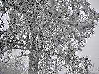 Rokytnice nad Rokytnou