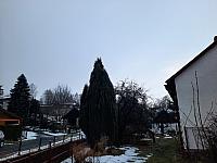 Olešná