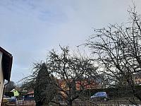 Olešná
