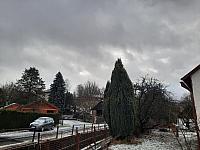 Olešná