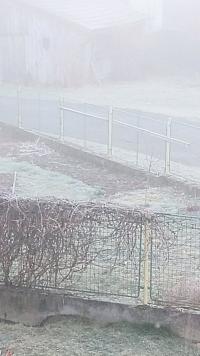 Mokrosuky, Pošumaví