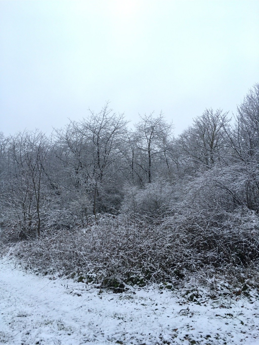 Nová Ves pod Pleší