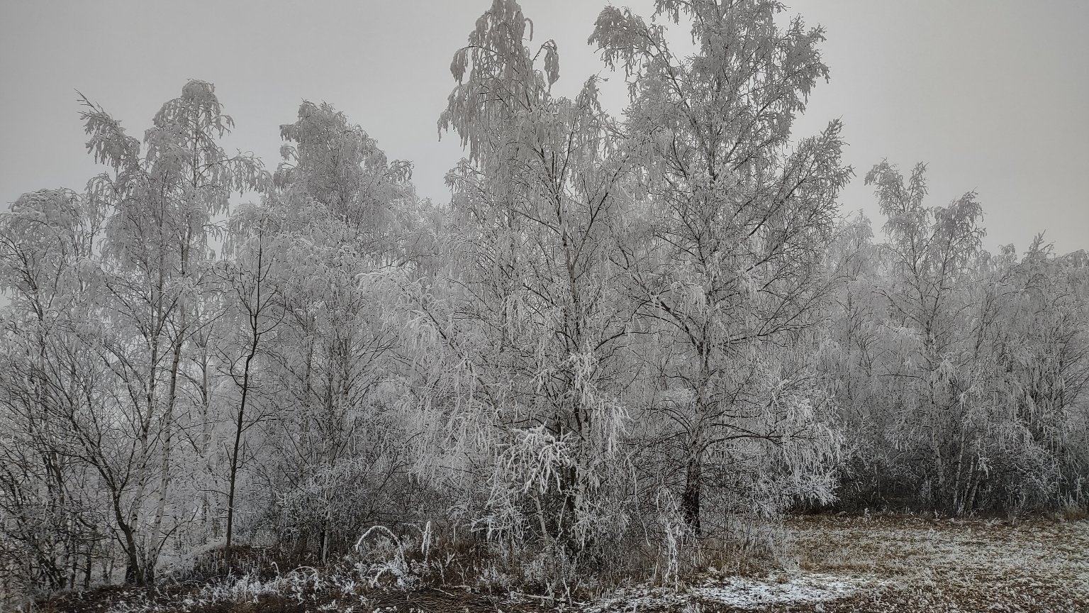 Radovesicka výsypka