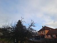 Olešná