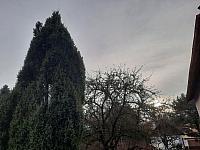 Olešná