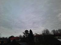 Olešná