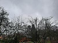 Olešná