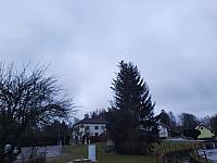 Olešná