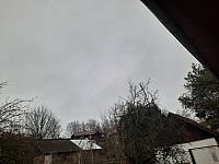 Olešná